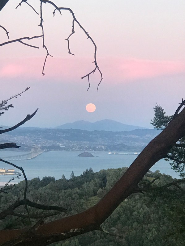 April 2020 pink moon